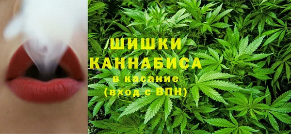 спиды Инсар