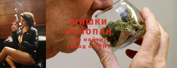 спиды Инсар