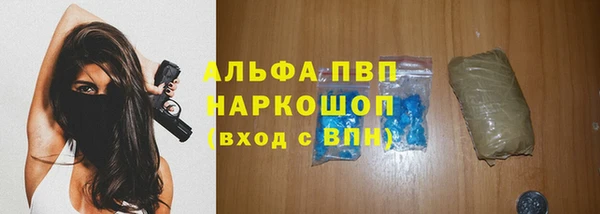спиды Инсар