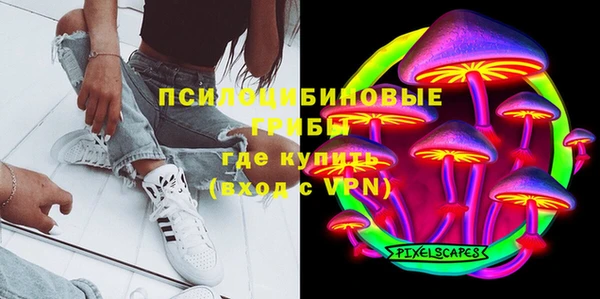 спиды Инсар