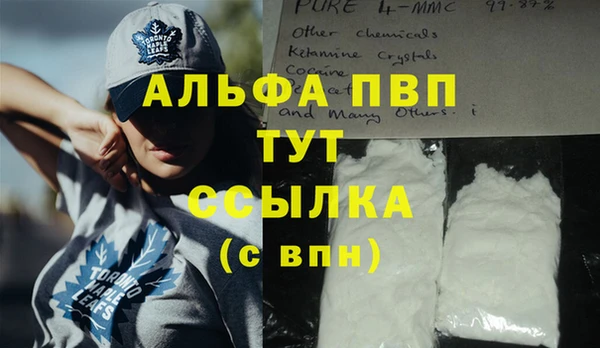 спиды Инсар